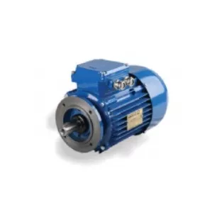 Moteur normalisé triphasé 1000T -B34